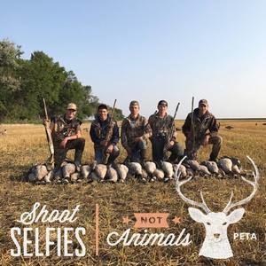 Meet your Posher, Nathan